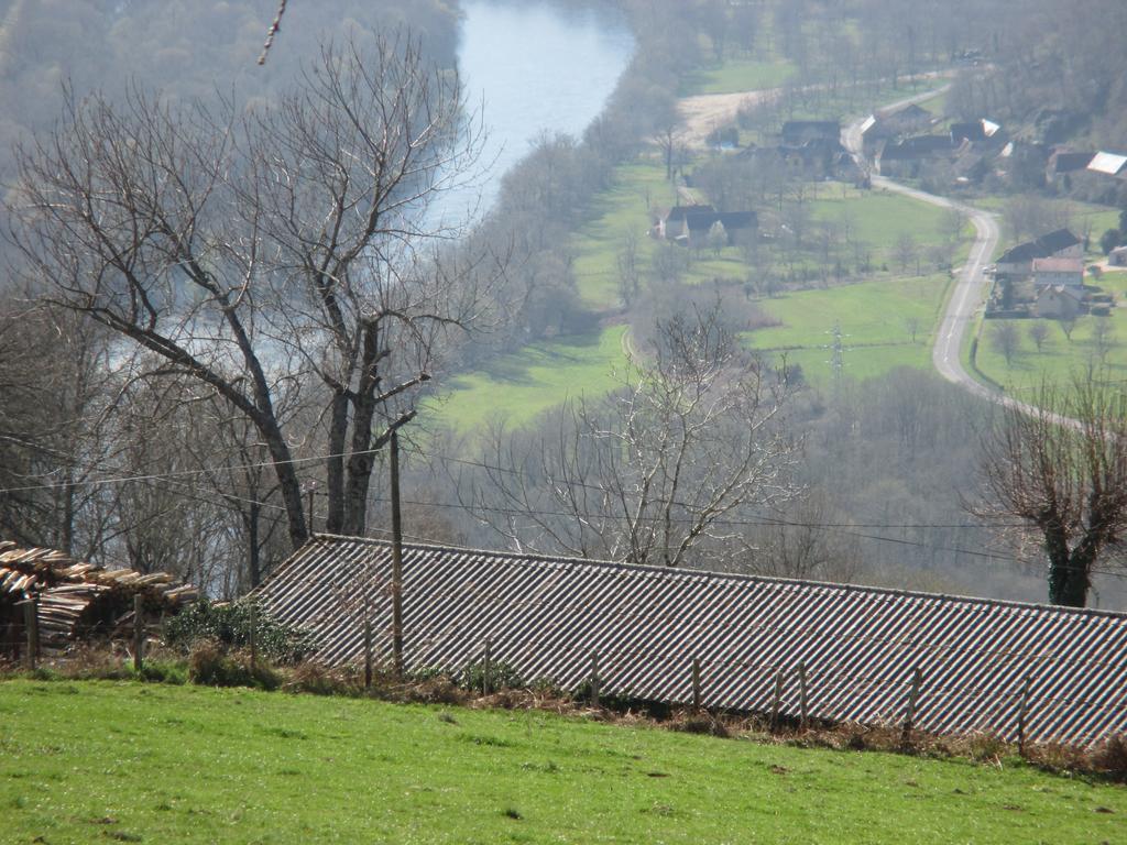 Le Petit Chat Beaulieu-sur-Dordogne Ngoại thất bức ảnh